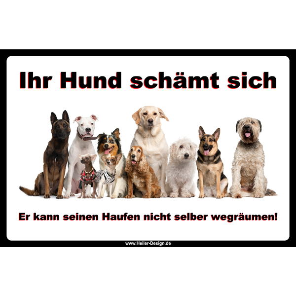 Schilder Verbotsschilder Schild Hund Allerlei Drucksachen, 4,49